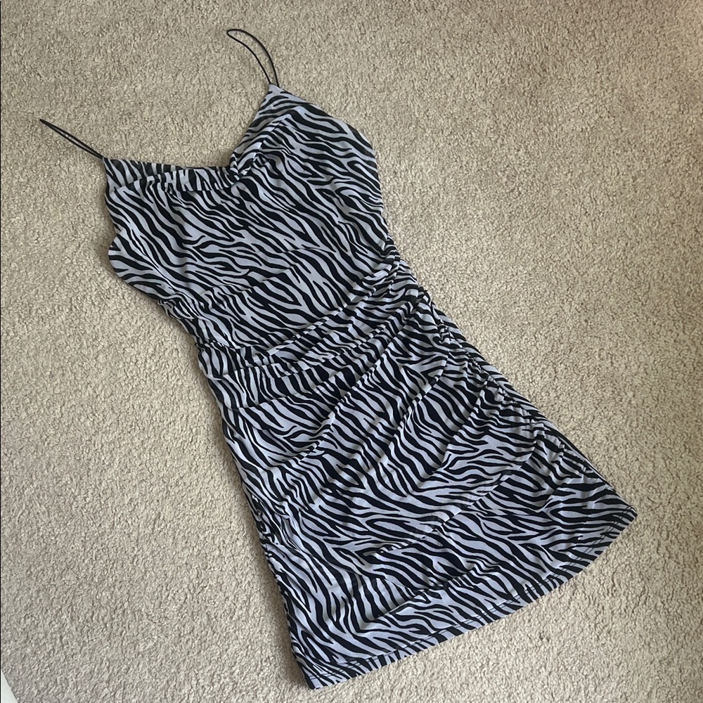 Zebra Print Mini Dress